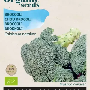 Broccoli Calabrese natalino