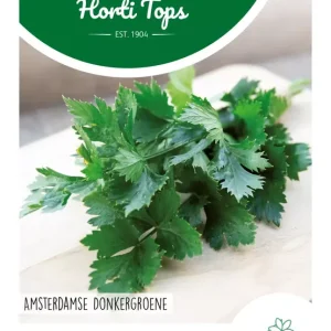 Snijselderij Amsterdamse Donkergroene