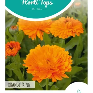 Calendula, Goudsbloem Orange King
