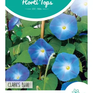 Ipomoea, Klimmende Winde Clark's Blue