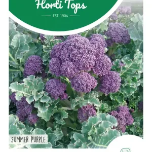Broccoli Summer Purple