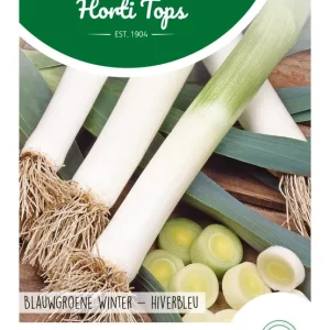 Prei Blauwgroene Winter, Sel. Hiverbleu