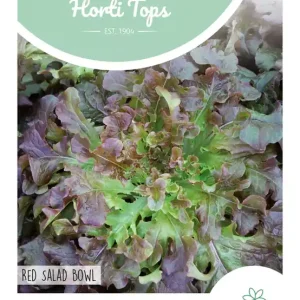 Pluksla, Red Salad Bowl, eikenbladsla