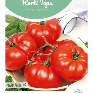 Tomaat Marmande, Vleestomaat