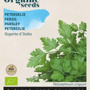 Peterselie Gigante d'Italia