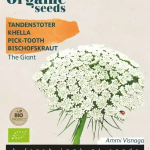 Tandenstoter The Giant