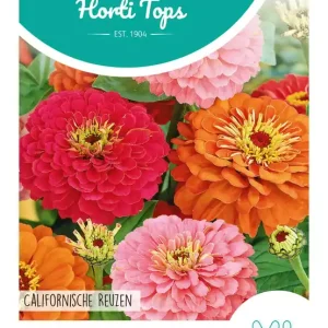 Zinnia Californische Reuzen gemengd