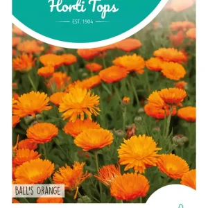 Calendula, Goudsbloem Ball's Oranje dubbelbloemig