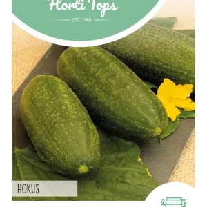 Augurken Hokus
