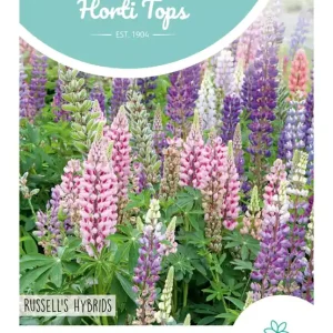 Lupinus, Lupine Russell's Hybrids gemengd