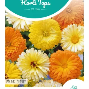 Calendula, Goudsbloem Pacific Beauty gemengd