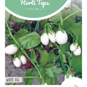 Aubergine White Eggs