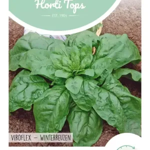 Spinazie Winterreuzen, 15 gram