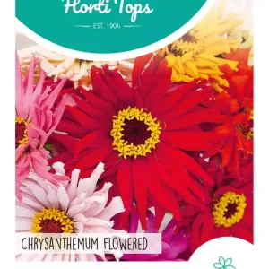 Zinnia Chrysanthbloemig gemengd