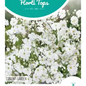 Gypsophila, Gipskruid Covent Garden wit