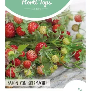 Bosaardbei, Baron von Solemacher