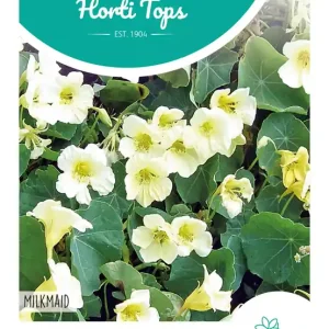 Tropaeolum, Oost-Indische kers Milkmaid