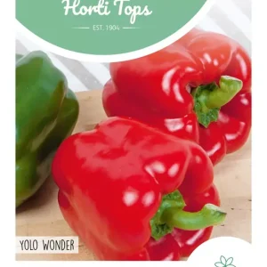 Paprika Yolo Wonder