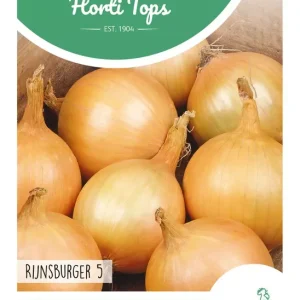 BewaaruiRijnsburger 5, Bolronde Gele