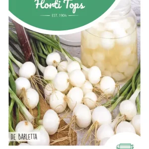 Inmaakuien De Barletta