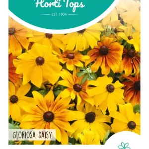 Rudbeckia, Zonnehoed Gloriosa Daisy