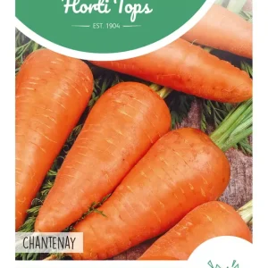 Wortel Chantenay