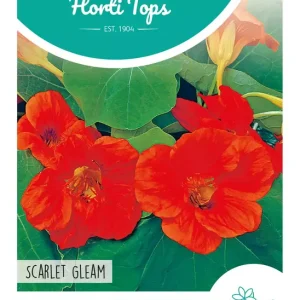 Tropaeolum, Oost-Indische Kers Scarlet Gleam Rood