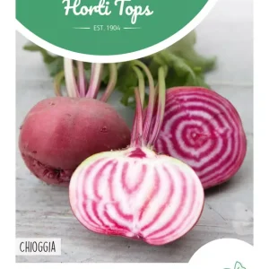 Bieten Chioggia