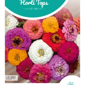 Zinnia Liliput gemengd