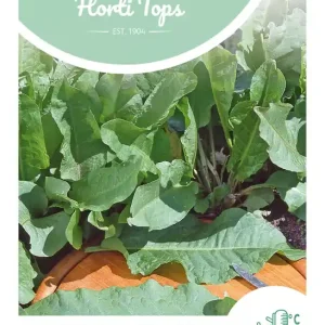 Spinazie (doorlevende)