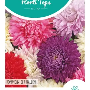 Callistephus, Zomeraster Koningin der Hallen gemengd