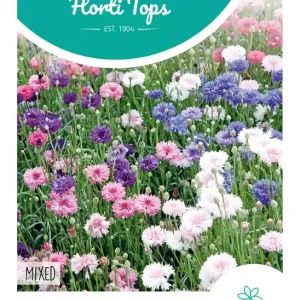 Centaurea, Korenbloem gemengd