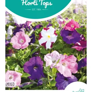 Petunia laag gemengd