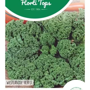 Boerenkool Westlandse Herfst