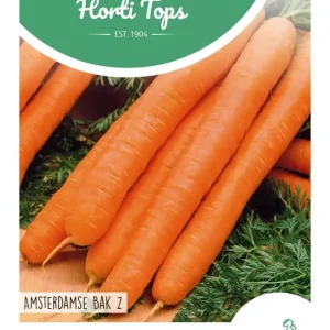 Wortel Amsterdamse Bak 2