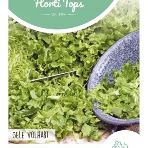 Andijvie Gele Volhart