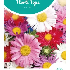 Callistephus, Zomeraster enkelbloemig gemengd