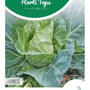 Witte kool Express, Vroege Spitse