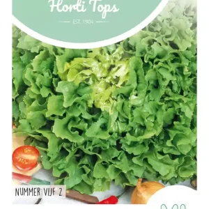 Andijvie Nummer Vijf 2