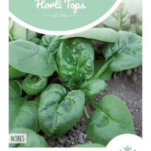 Spinazie Nores, 15 gram