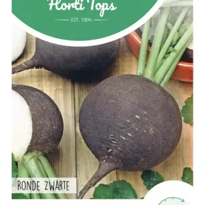 Rammenas Ronde Zwarte (Winter)