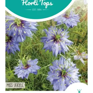 Nigella, Juffertje-in-het-groen Miss Jekyll blauw