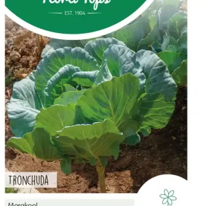 Mergkool Tronchuda, voorheen Prover