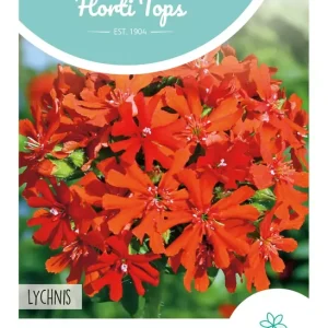 Lychnis, Brandende Liefde