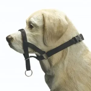 Beeztees Dog Control Zwart