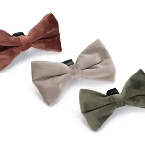 Designed By Lotte hondenstrik Zaza velvet halsband