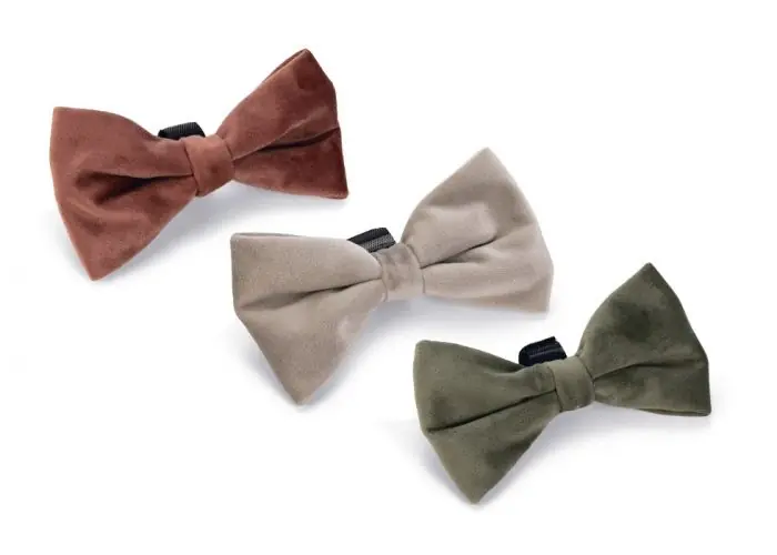 Designed By Lotte hondenstrik Zaza velvet halsband