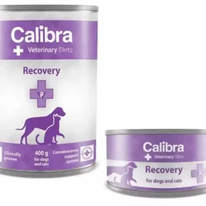 Calibra Veterinary Diets Dog & Cat Recovery hond en kat natvoer