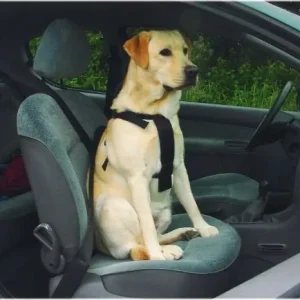 Beeztees Wandel- en Autogordel Hondentuig