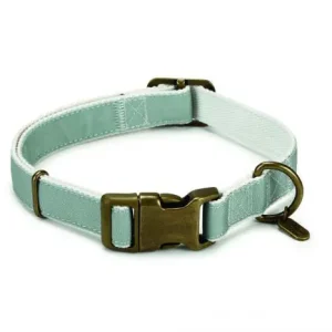 DBL Nylon Halsband Virante Mint